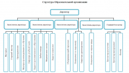 Структура образовательной организации